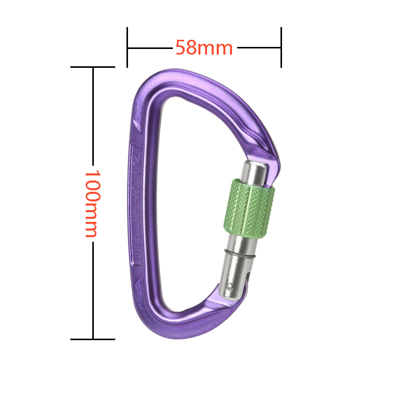 D type lock lock main lock WILDCOUNTRY outdoor climbing climbing SESSION