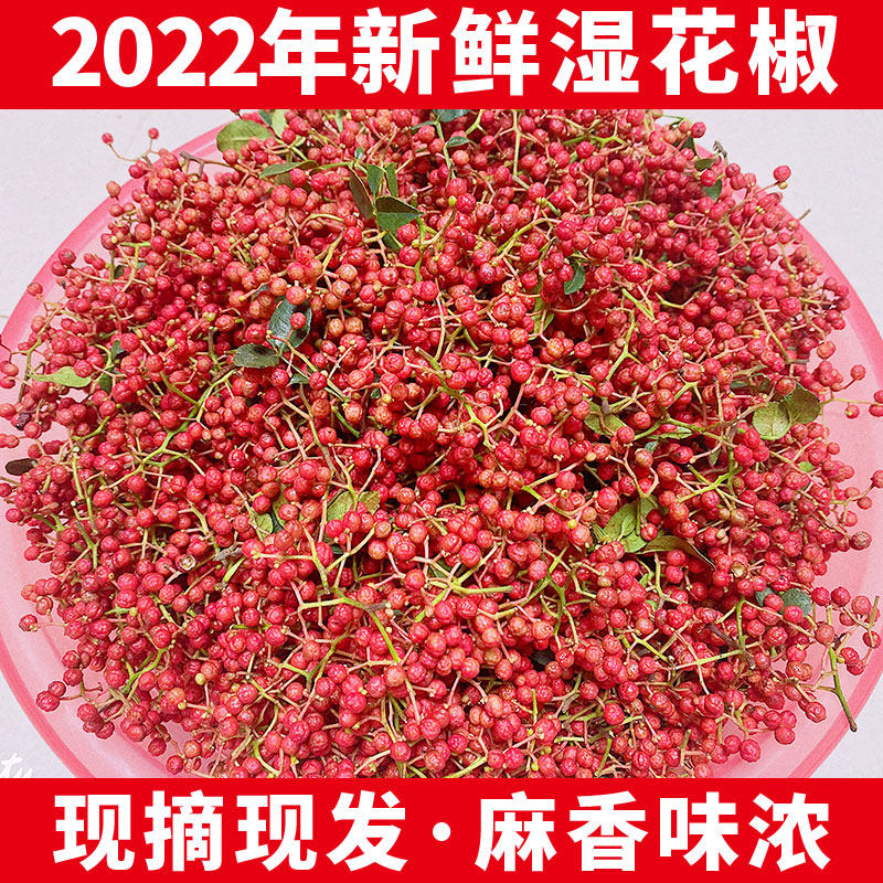 2022 fresh raw pepper Shaanxi red pepper Dahongpao wet pepper special hemp fragrance now picked and found tender pepper 1 catties