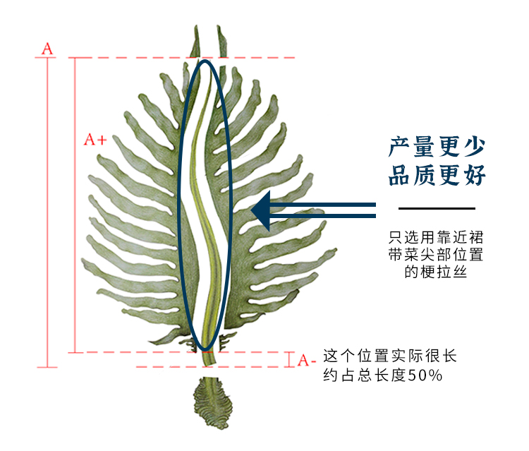 【盖世】即食裙带菜寿司海草150g*6袋