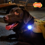 Laroo Laeno Aurora Ночью, выгуливаясь по собачьим огням, светодиодные поставки воротнич