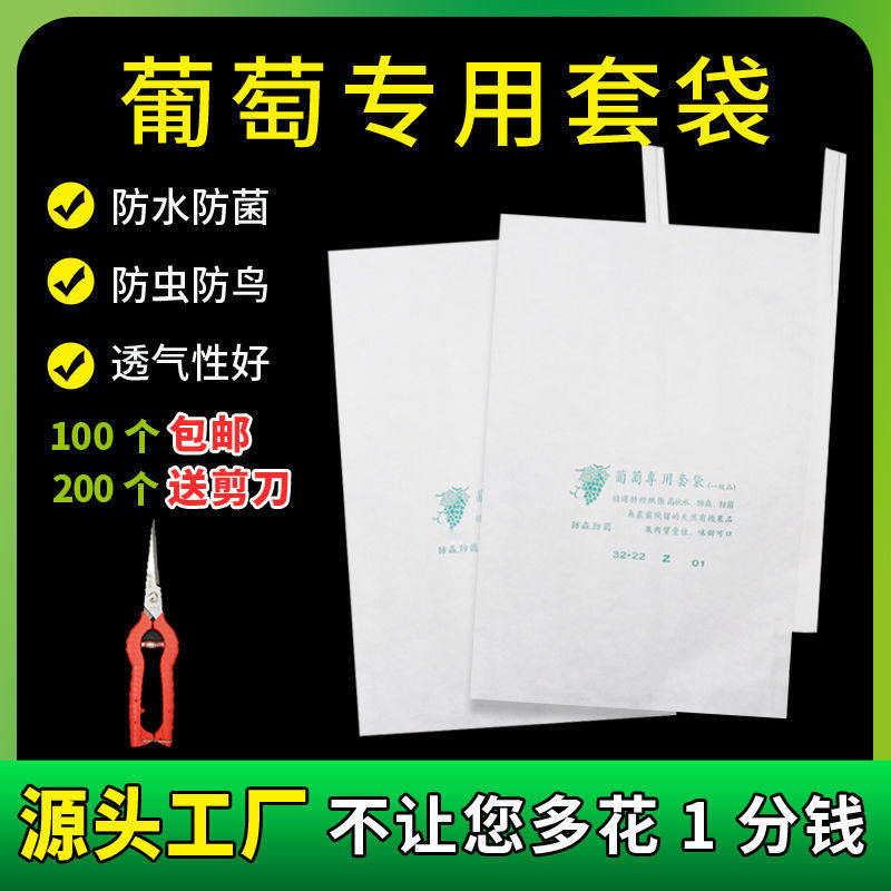 Grape bag bag special paper bag waterproof rain bird insect lotus fog protection breathable translucent sky fruit bag