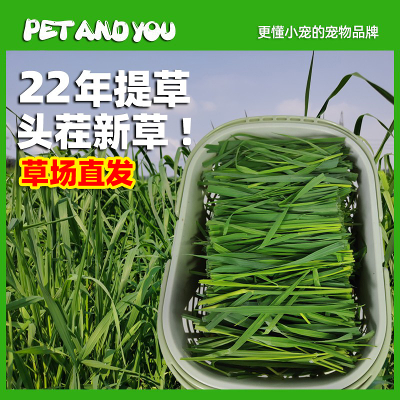 22 years new grass PETANDYOU dry Timothy grass section North Ti rabbit hay totoro Dutch pig