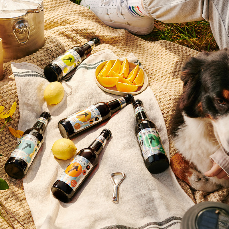 临期 Shang-Chi 上气 轻精酿啤酒 330mL*6瓶（混合口味）天猫优惠券折后￥30包邮