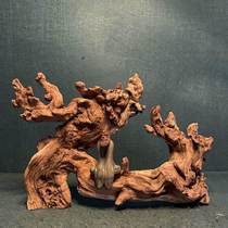 Natural gold silk red sunken wood fish straw cylinder made of scenery tree root carving art tea table Xuanguan Decorative Pendulum non-cuckoo root Purple Grapefruit