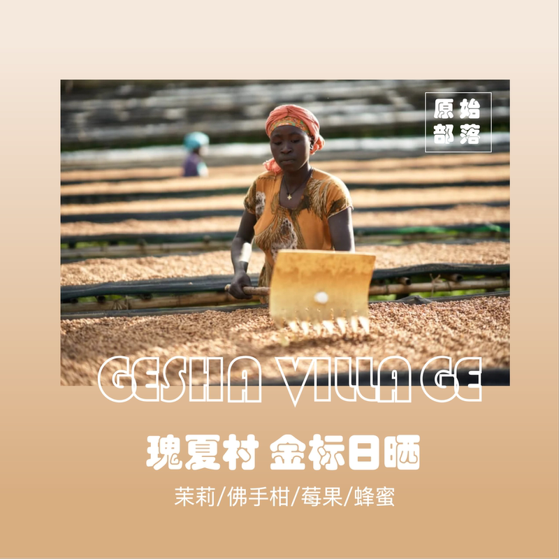 Original Tribe 26 Ethiopia Gesha Village Gold Label Gesha Sun-Dried Premium Jasmine Hand-Brewed Cold Brew Coffee Beans Oma