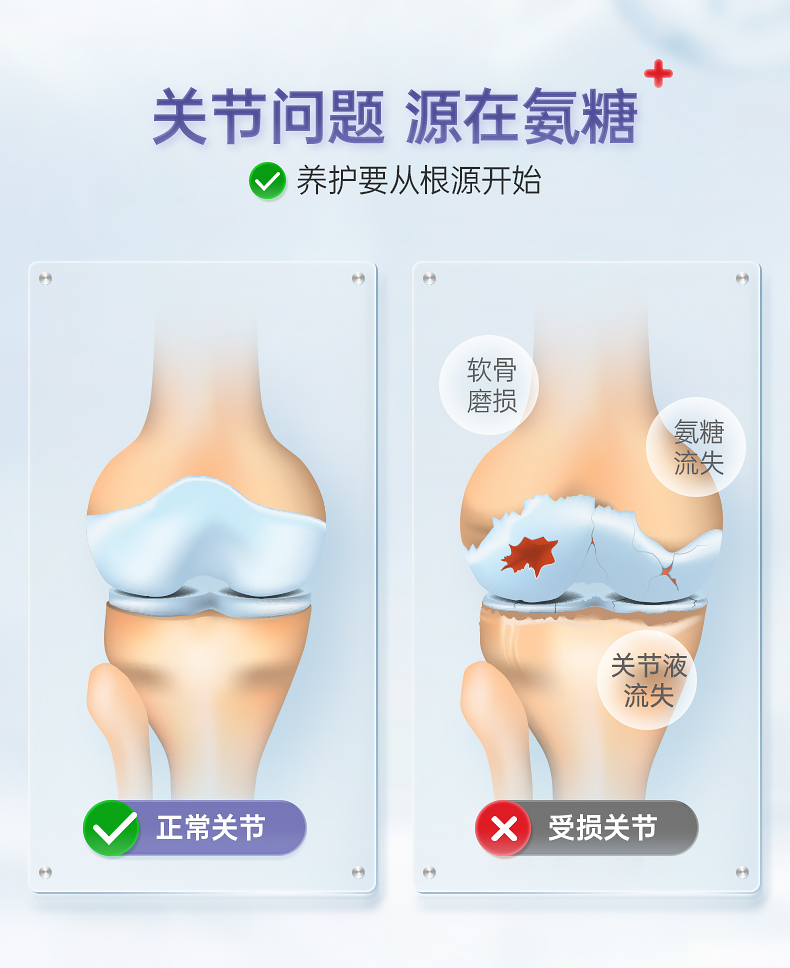 意大利Nutrileya蛋壳膜氨糖软骨素