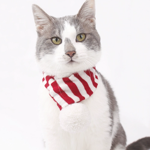 Весенний фестиваль Новый год рождественский зимний шарф плетения плетения полосатые кошки и собака Золотой Мао