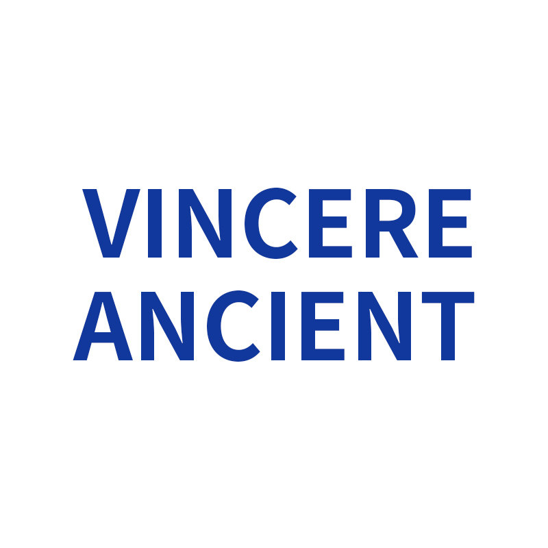 vincere旗舰店