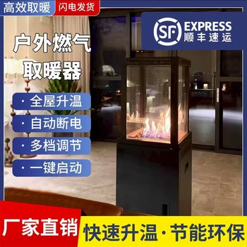 Outdoor Heater Gas Stove Bar Patio Fire Pit Camping Fireplace Liquefied Natural Gas Heating Real Fire Fireplace