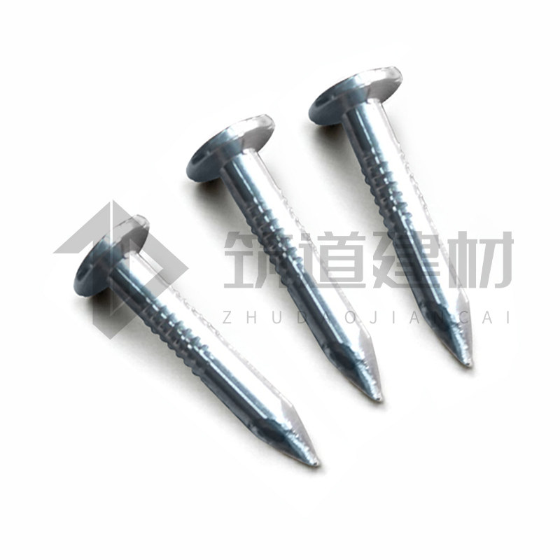 沥青瓦专用钢钉油毡瓦玻纤瓦水泥钉木板钉子大钉帽加粗