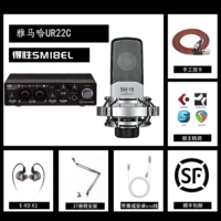 Desheng sm-18el+yamaha ur22c