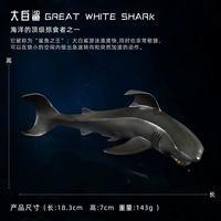 Большая белая акула