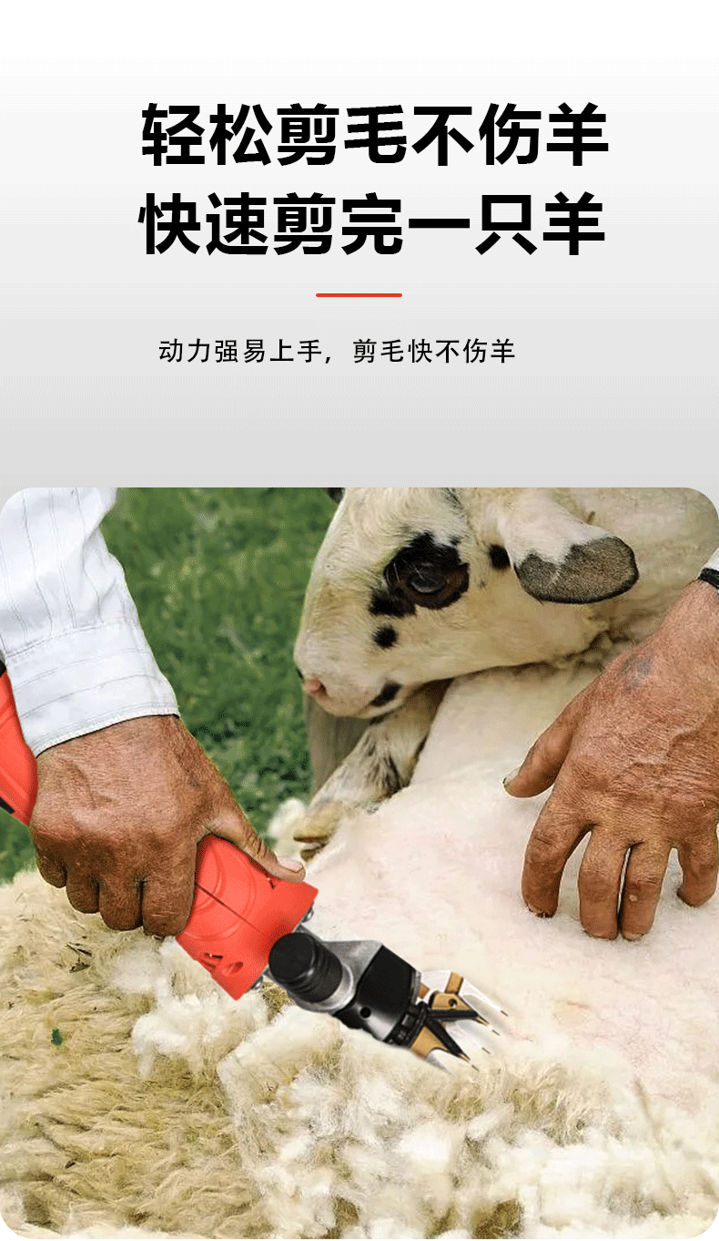 Ножницы 光祖电动羊毛剪电推子绵羊刀片电剪刀剃毛机大功率调速剪羊毛神器