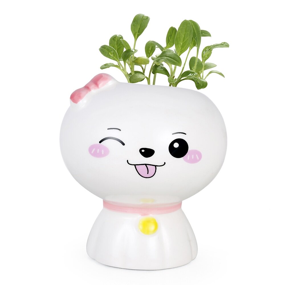 Lazy people potted creative mini plants office desktop green plants to send girlfriends men and women Valentine's Day gift box