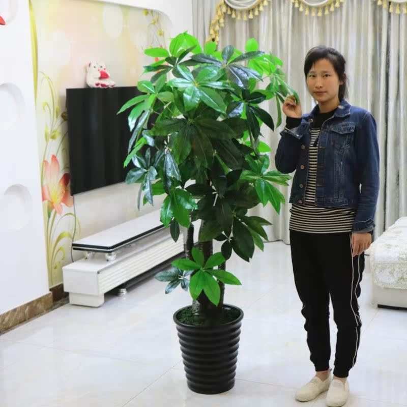 Simulation Fortune Tree Simulation Fortune Tree Decorative Plant Indoor Fake Potted Living Room Flower Large Floor Tree Green Plant Plastic