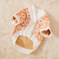 Оранжевая ромашка