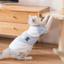 Spring and autumn sweatshirt small cat kitty clothes anti-fall wow puppets Puppy cat Ins short and beautiful short and young cat puppies autummy