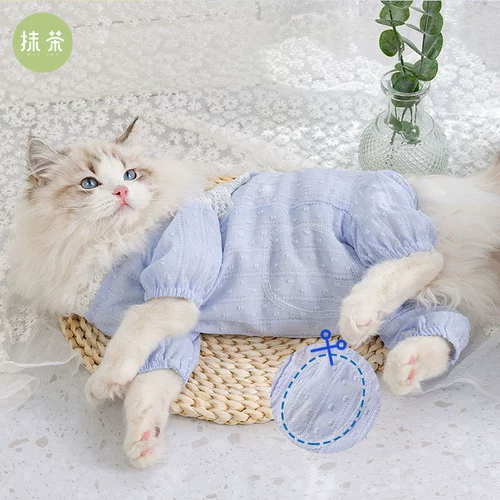 Кошачья романтическая кружевная булочка безрешка