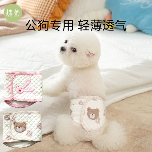 Милый маленький медведь собака Физиологические штаны Общественная собака, посвященная привлечению плюшевого эструса, анти -мурдера и анти -интервизионного летнего живота