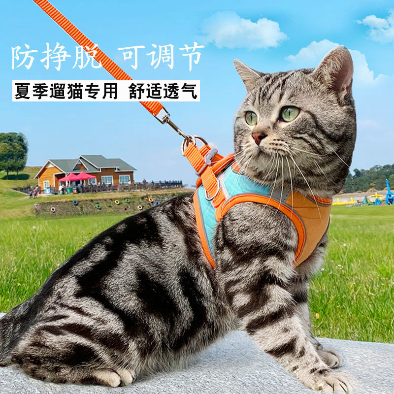 Kitty traction rope vest type of anti-earn and breast-holding baby bag kittens go out special theorist to walk cat rope kitty supplies