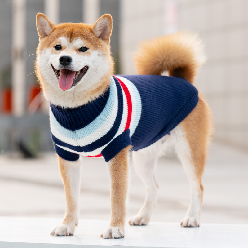Dog clothes autumn and winter Shiba Inu Teddy Bichon Corgi method fighting small and medium dogs pet puppy winter clothes 2022 new