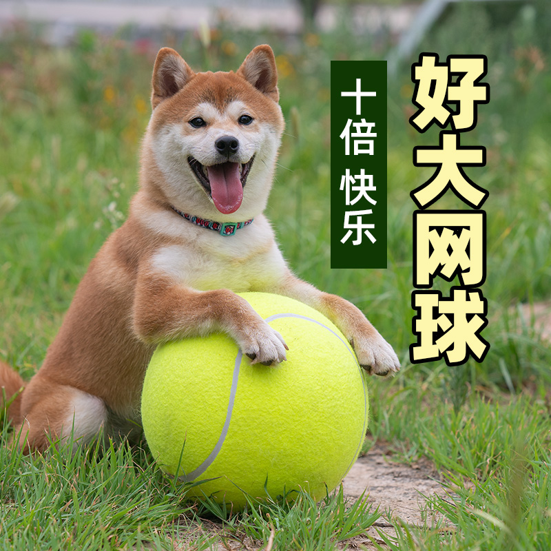 Dog toy ball ten times happy ball oversized tennis 24cm Shiba Inu Corgi method to tease the dog to relieve boredom pet supplies