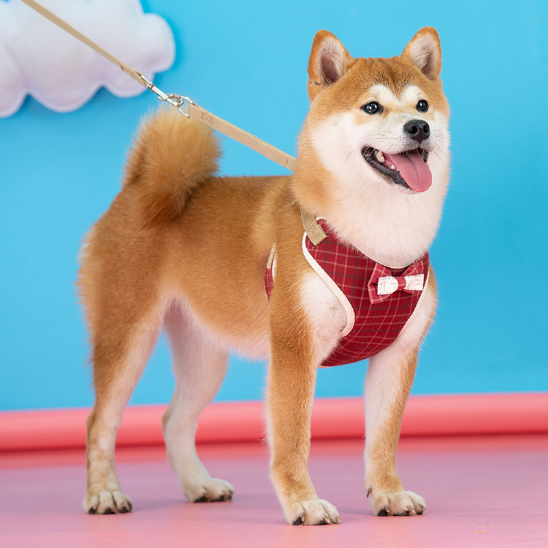 Dog Leash Dog Chain Walking Dog Vest Style Chest Hold Baby Bag Leash Shiba Inu Teddy Leash Dog Leash Small and Medium Dogs