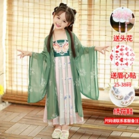 Butterfly Dream Green Two -Piece Set (рубашка с большим рукавом+юбка)+обувь (размер заказа)