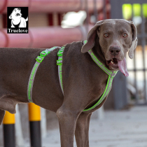 Dog rope traction rope in large canine collar telescopic adjustable summer walking dog rough rope Haschichkin hair out