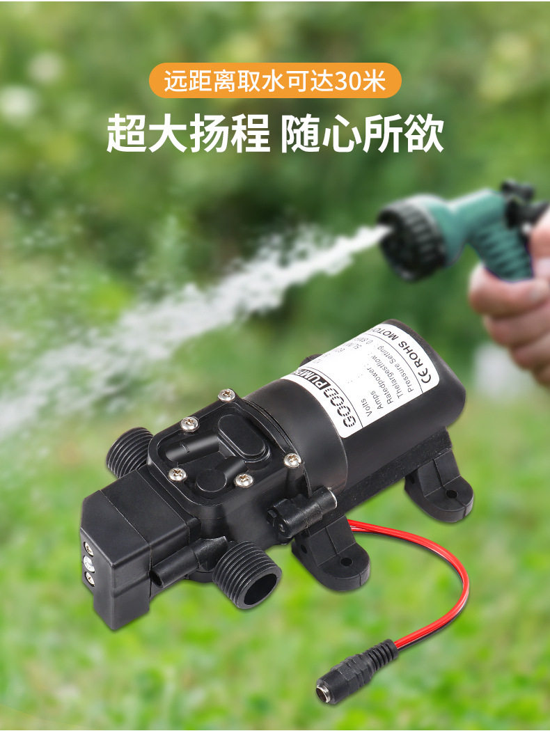 Бустерный насос 直流变交流电动喷雾器专用泵12v220v回流隔膜泵微型抽水增压泵