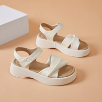 2 27A Recommended by thousands of people planting grass丨This year’s popular new styles丨Spring new casual and versatile Velcro beach