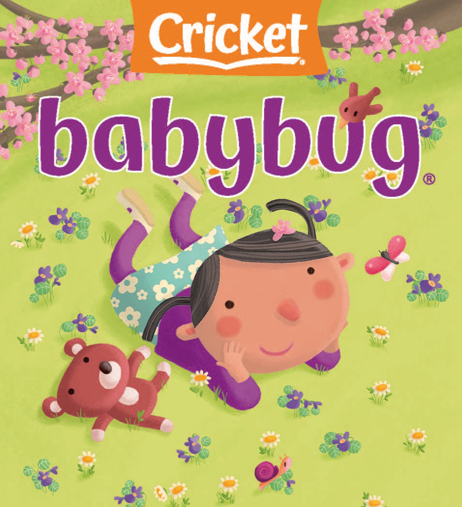 Cricket Babybug 2025.05&06.jpg