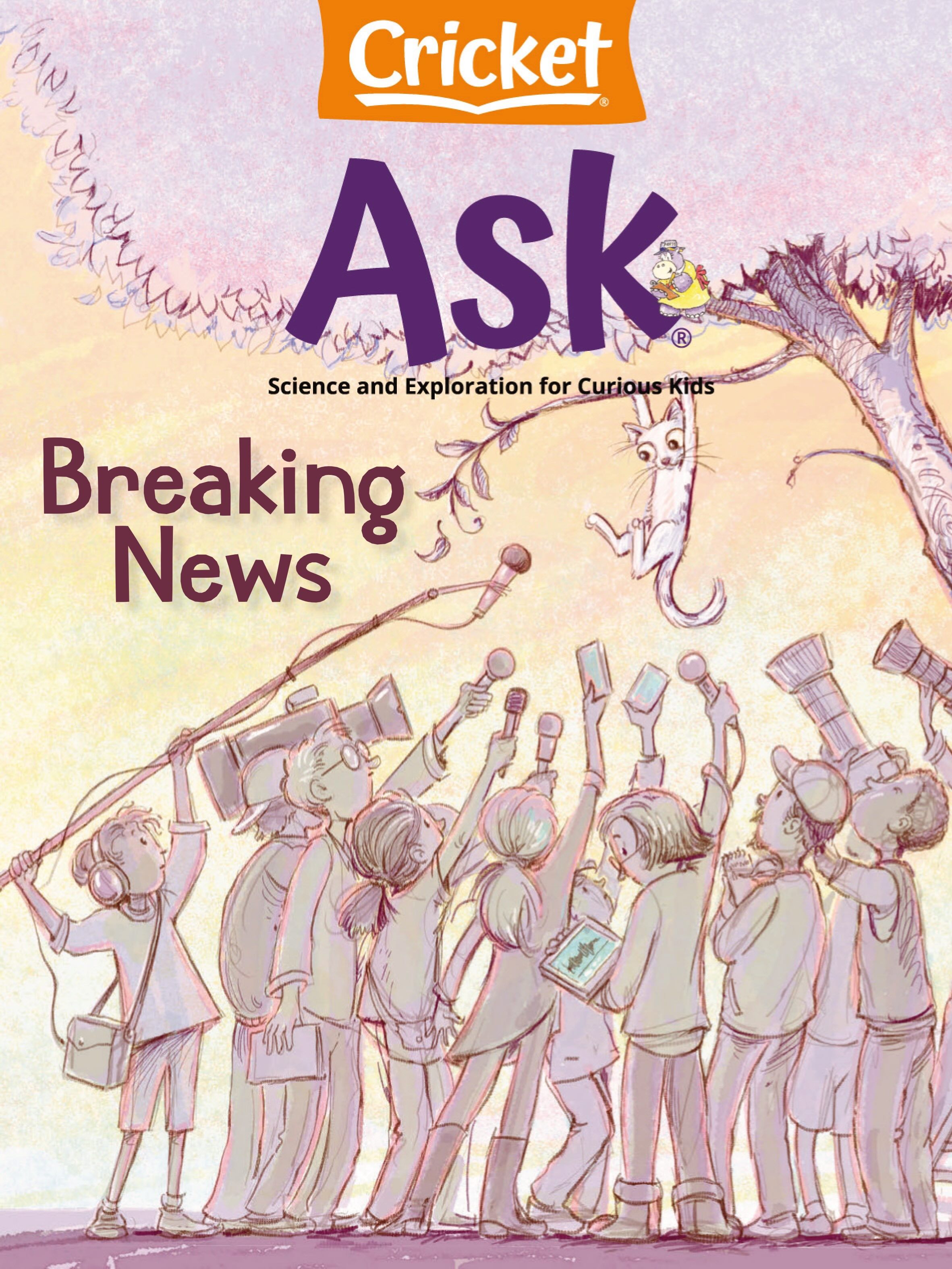 Cricket Ask 2025.05&06.jpg