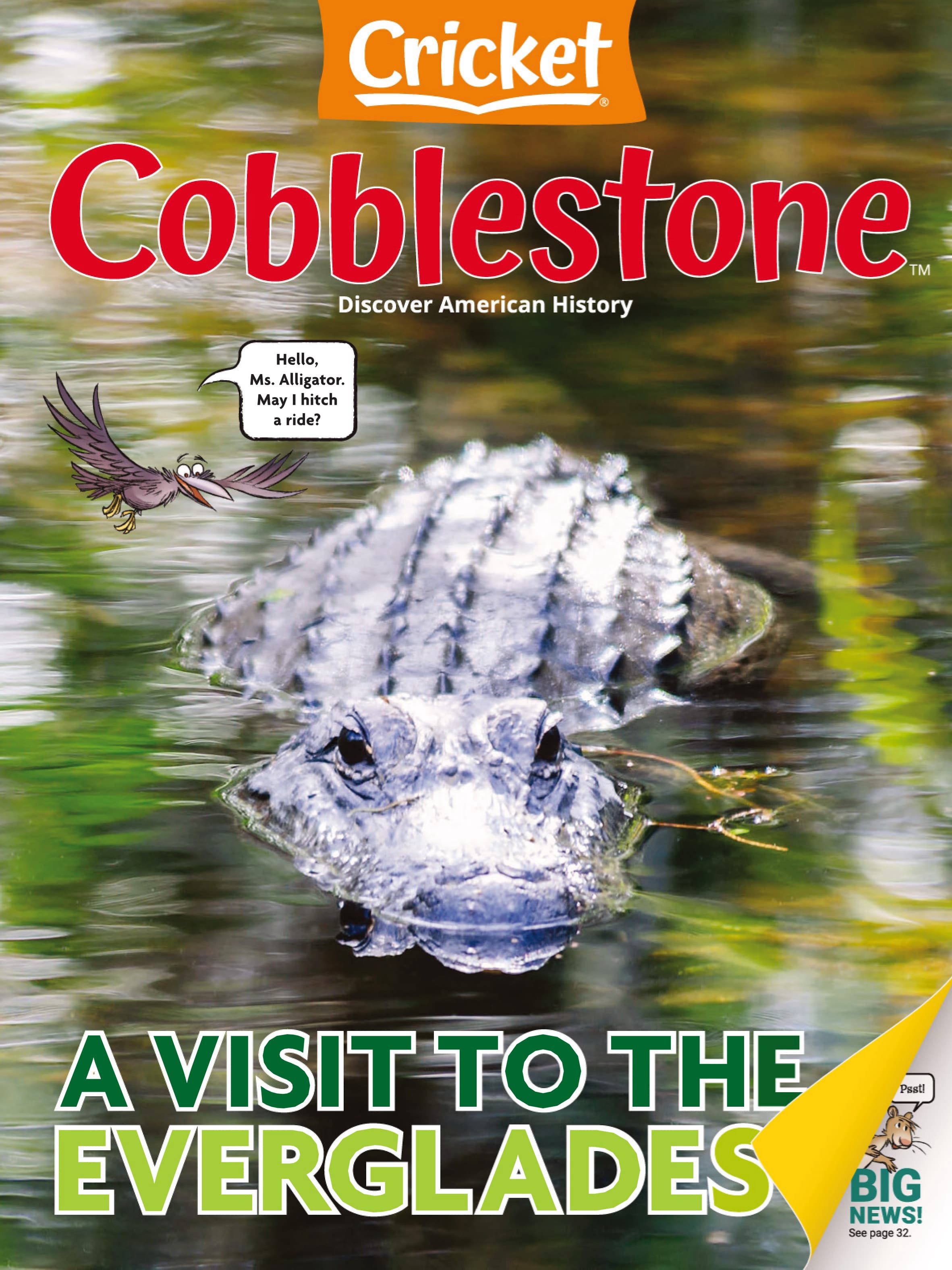 Cobblestone 鵝卵石少兒科普雜志 2025年更新中
