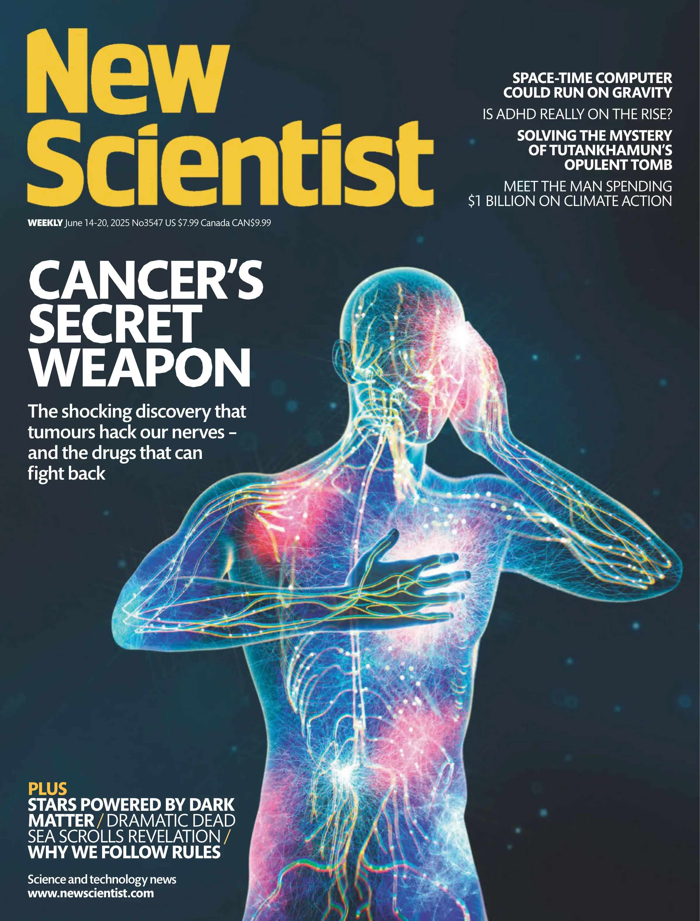 New Scientist 2025.6.14_1.webp