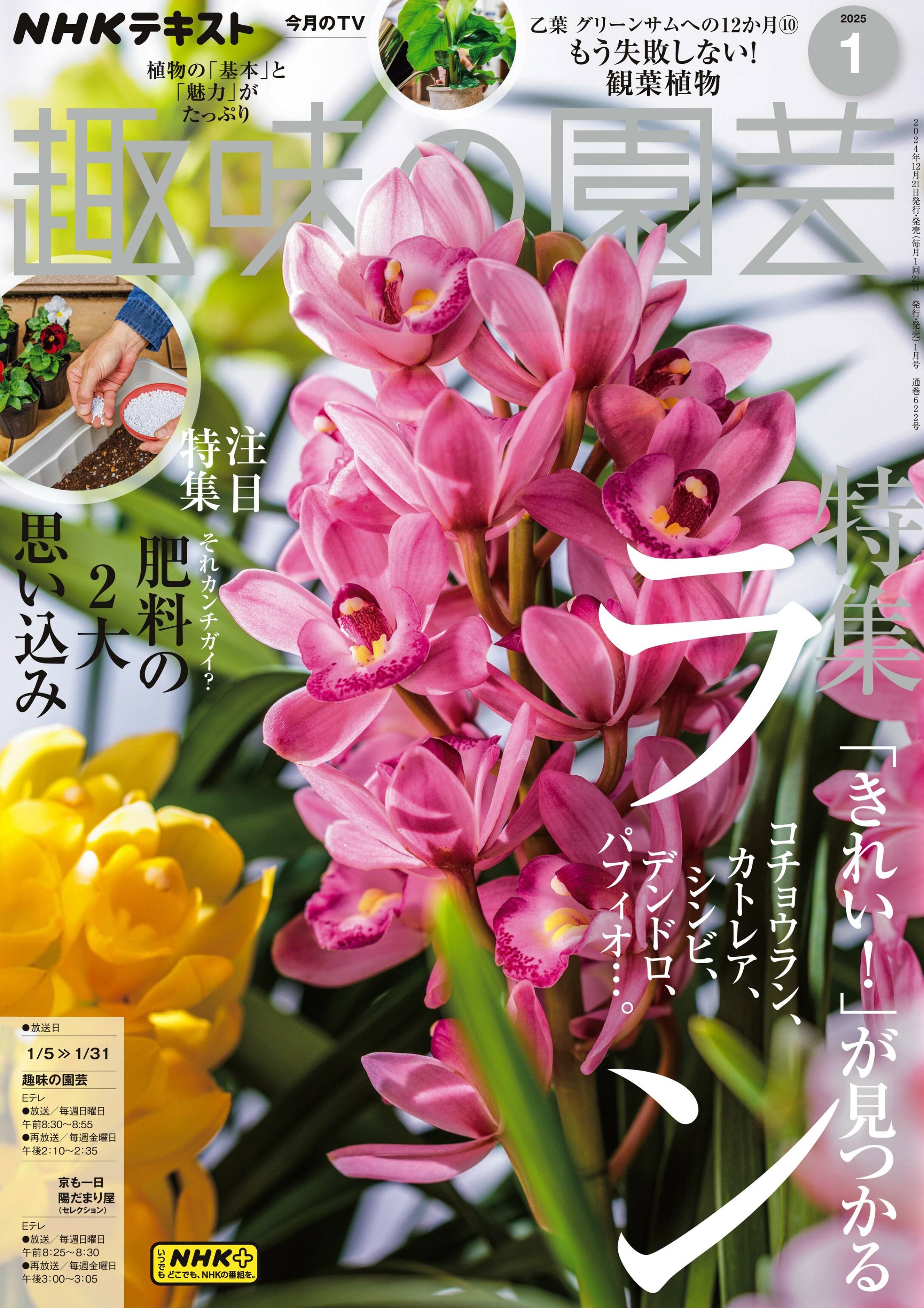 NHK 趣味の園芸 2025.01.jpg