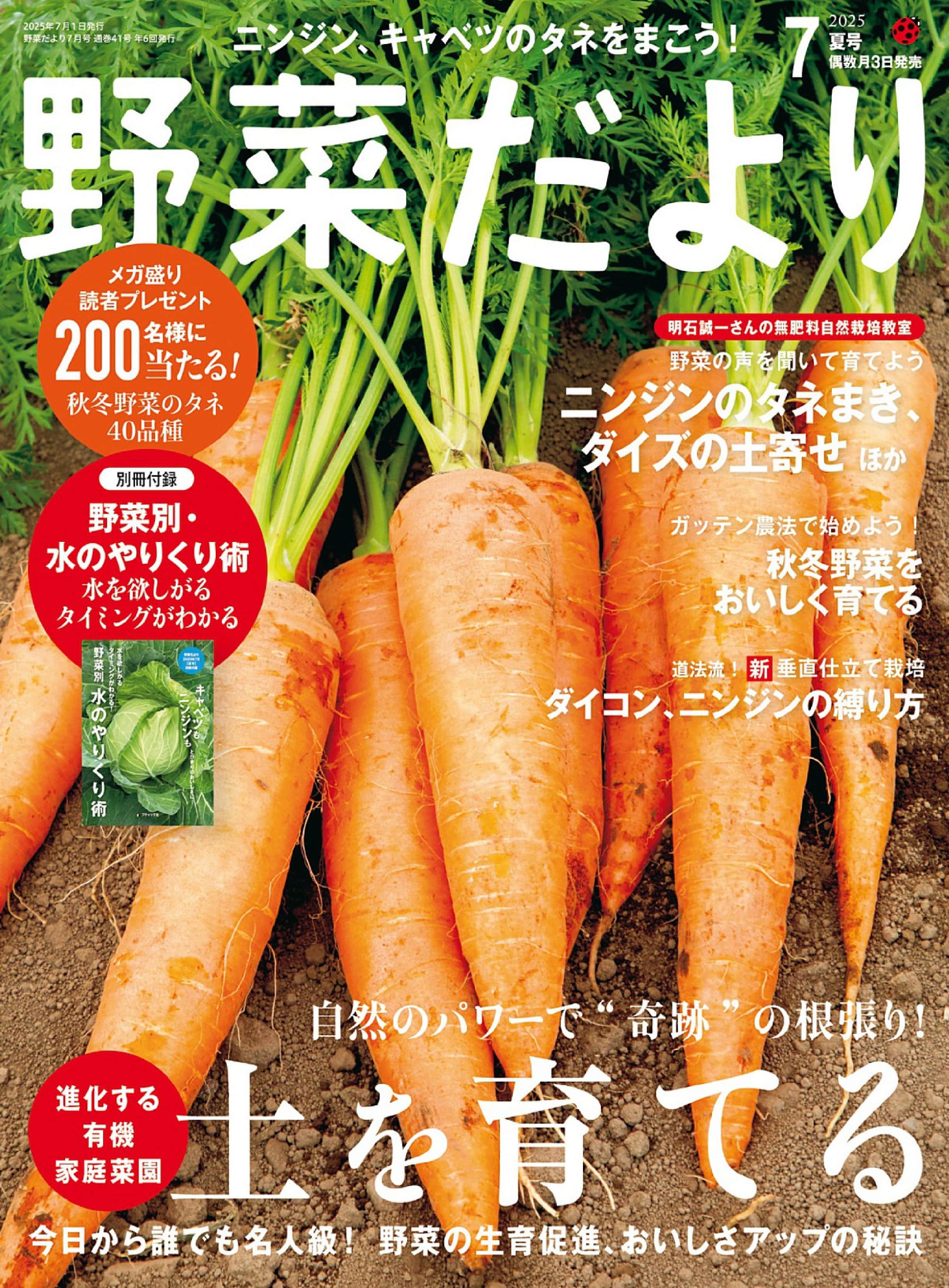 野菜だより 2025.07.jpg