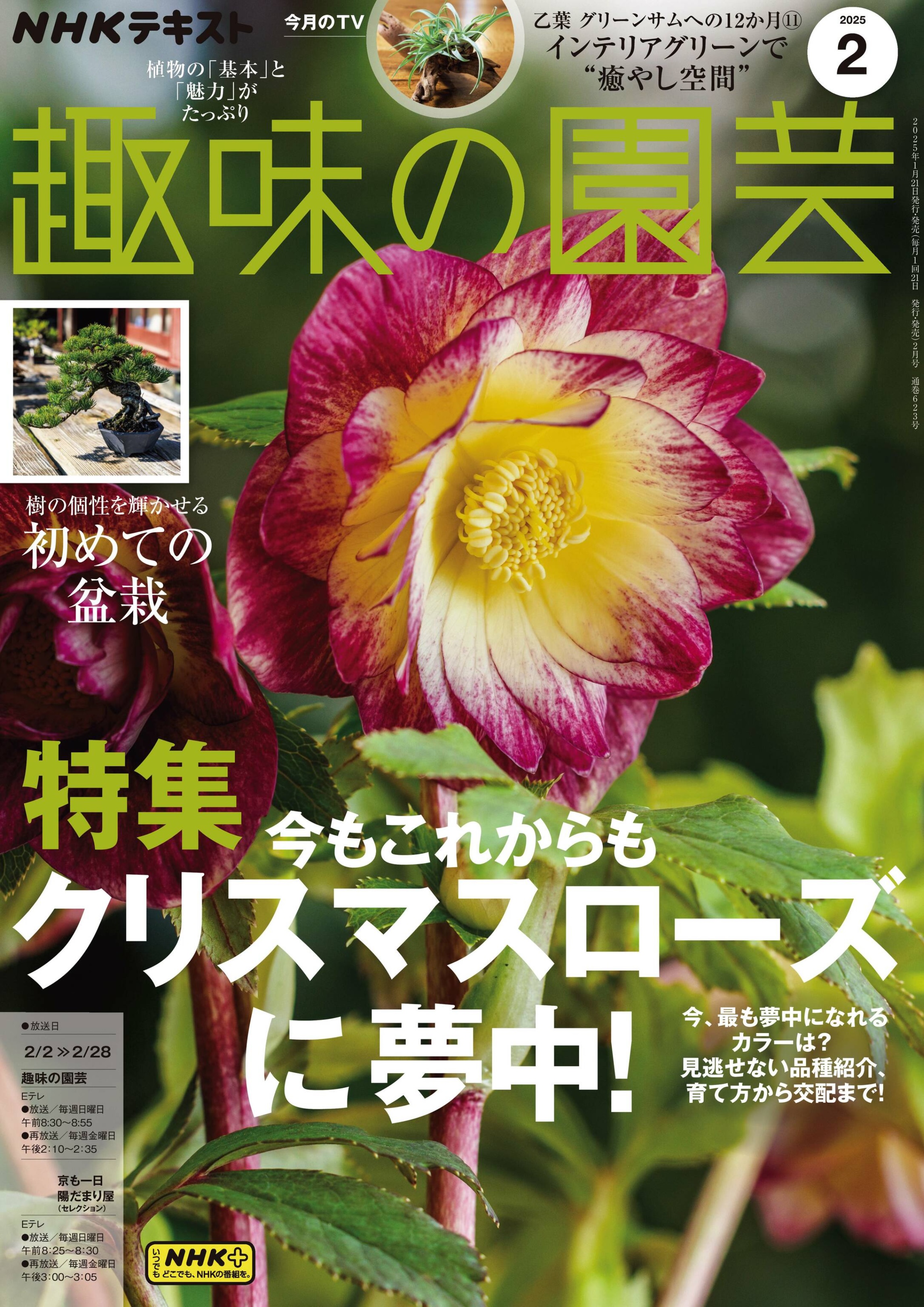 NHK 趣味の園芸 2025.02.jpg