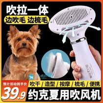 Yorkshia special dog hairdryer bath dryer pet blowing hair hair hair hair and hair comb in a mechanical hair dryer