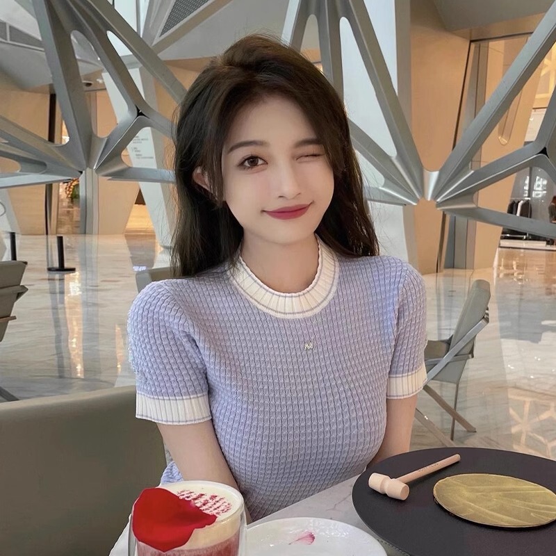 Purple Short-Sleeved T-Shirt for Women, Summer Slim-Fit Ice Silk Knit Top for Petite Figures, Slimming Color-Blocked Top