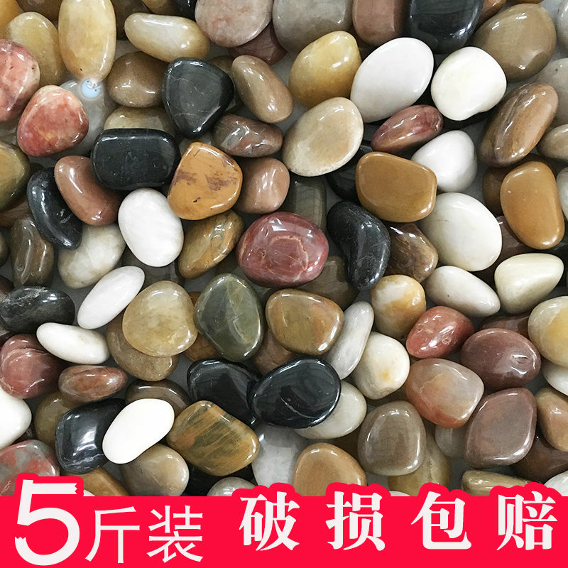 5 catty pebbles rain flowers Stone original stone natural small stone pebble fish tank flower pot decorated with colorful goose soft stone paving