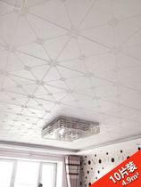 Ceiling cloth PVC plastic ceiling rural roof decoration creative roof cloth cloth hot paper