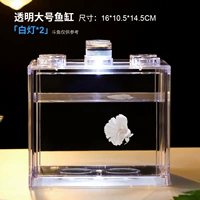 Прозрачная большая лампа