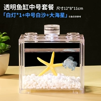 Прозрачная белая нефритовая морская морская звезда с легкой приемом