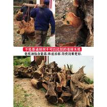 Special mothproofing for floors natural old camphorwood root slices pure logs camphor tree blocks solid wood insect repellent powder chips