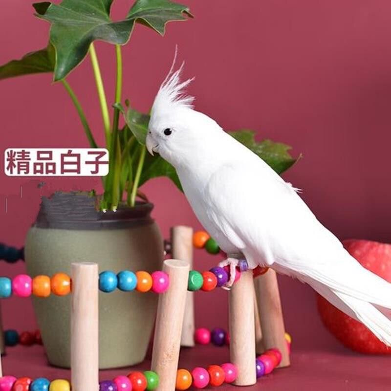 人工教育的LOGO