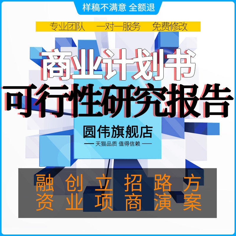 Business plan writing on behalf of the feasibility study report making project project activity plan PPT design