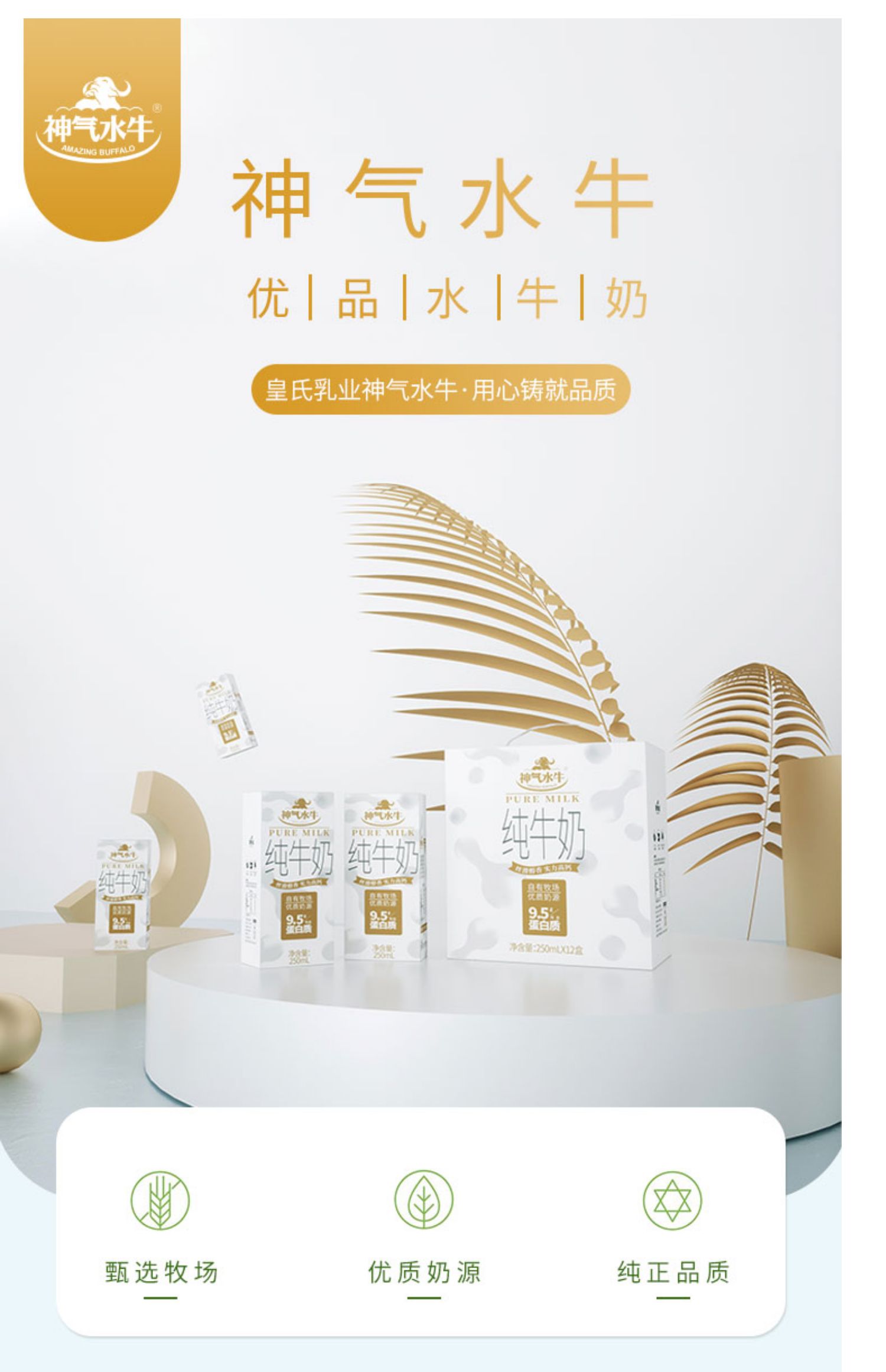 皇氏乳业神气水牛纯牛奶250ml*12盒