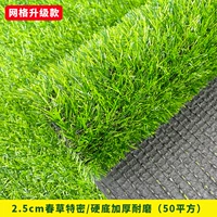 2,5 см детского сада весенняя Cao Smi (50 квадратных метров) износ -модель сетки