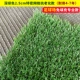 Темно-зеленый спортивный газон толщиной 2,5 см/с очень мелкой сеткой, утолщенная антивозрастная модель.